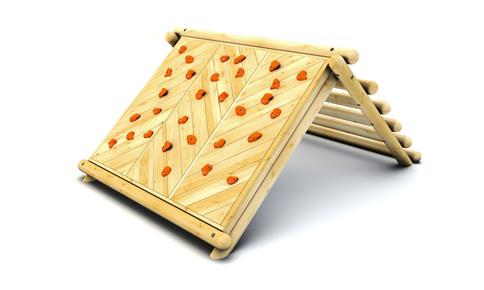 Forest Log Climber with Climbing Panels